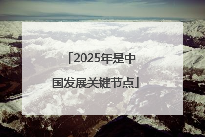 2025年是中国发展关键节点