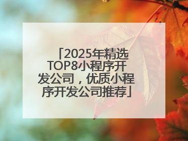 2025年精选TOP8小程序开发公司，优质小程序开发公司推荐