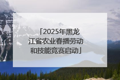 2025年黑龙江省农业春播劳动和技能竞赛启动