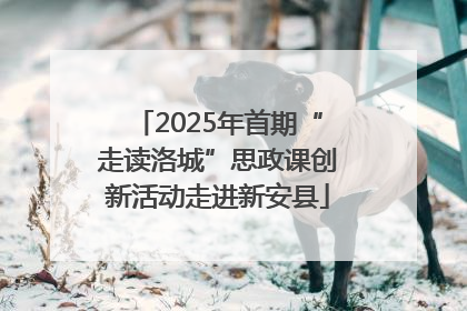 2025年首期“走读洛城”思政课创新活动走进新安县