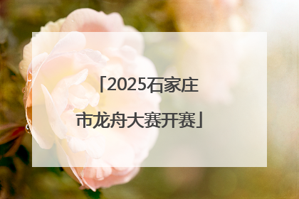 2025石家庄市龙舟大赛开赛