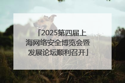 2025第四届上海网络安全博览会暨发展论坛顺利召开
