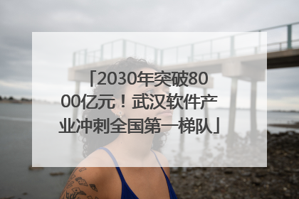 2030年突破8000亿元！武汉软件产业冲刺全国第一梯队