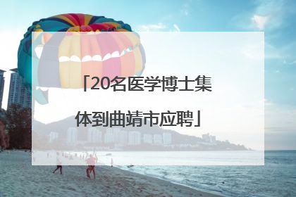 20名医学博士集体到曲靖市应聘