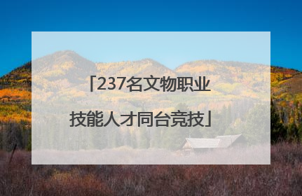 237名文物职业技能人才同台竞技