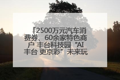2500万元汽车消费券、60余家特色商户 丰台科技园“AI丰台 更京彩”未来玩家市集活动正式开幕