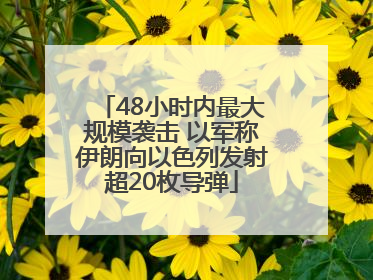 48小时内最大规模袭击 以军称伊朗向以色列发射超20枚导弹