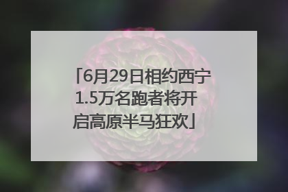 6月29日相约西宁 1.5万名跑者将开启高原半马狂欢