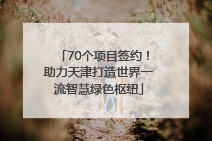70个项目签约！助力天津打造世界一流智慧绿色枢纽