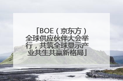 BOE（京东方）全球供应伙伴大会举行，共筑全球显示产业共生共赢新格局