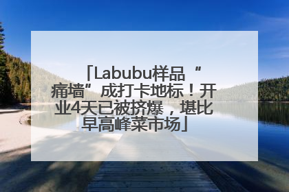 Labubu样品“痛墙”成打卡地标！开业4天已被挤爆，堪比早高峰菜市场