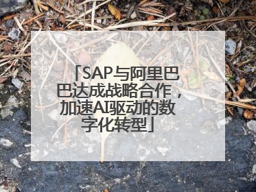 SAP与阿里巴巴达成战略合作，加速AI驱动的数字化转型