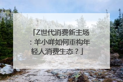 Z世代消费新主场：羊小咩如何重构年轻人消费生态？
